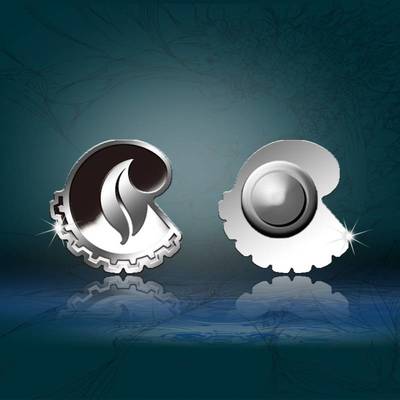 商務(wù)定制禮品的藝術(shù) 從紀(jì)念章、銀幣到項(xiàng)目策劃的全方位公關(guān)解決方案